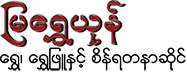 msy logo